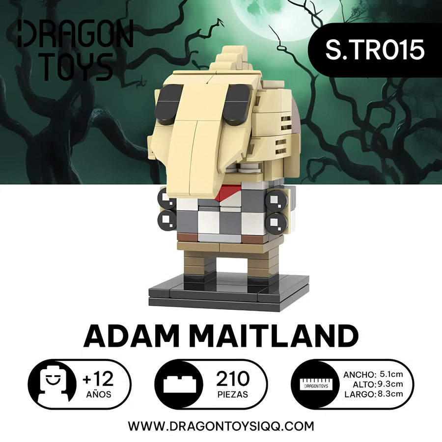 POP HEAD ADAM MAITLAND