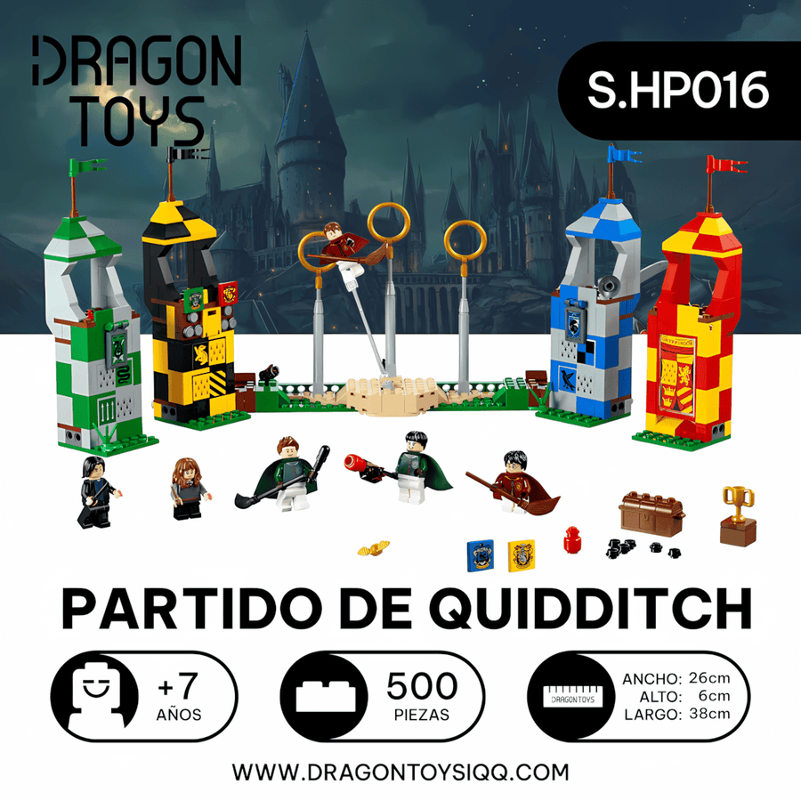 PARTIDO DE QUIDDITCH